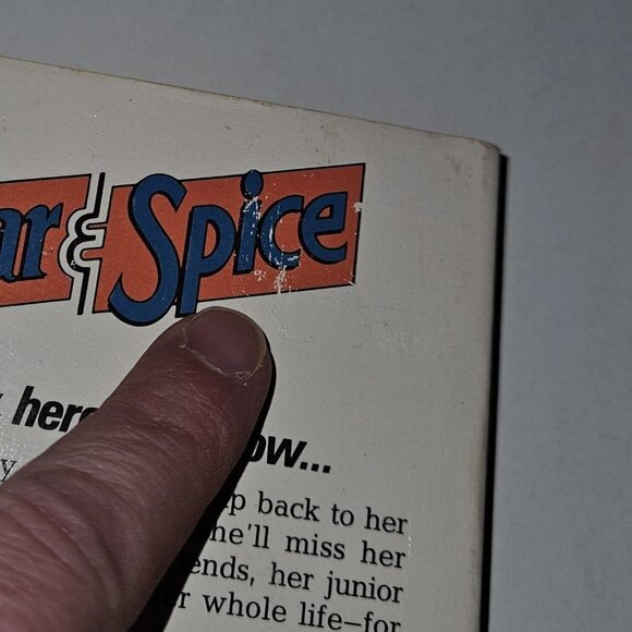 VTG Sugar & Spice #9 Double Take Paperback Book Janet Quin-Harkin 1987 - Picture 4 of 9